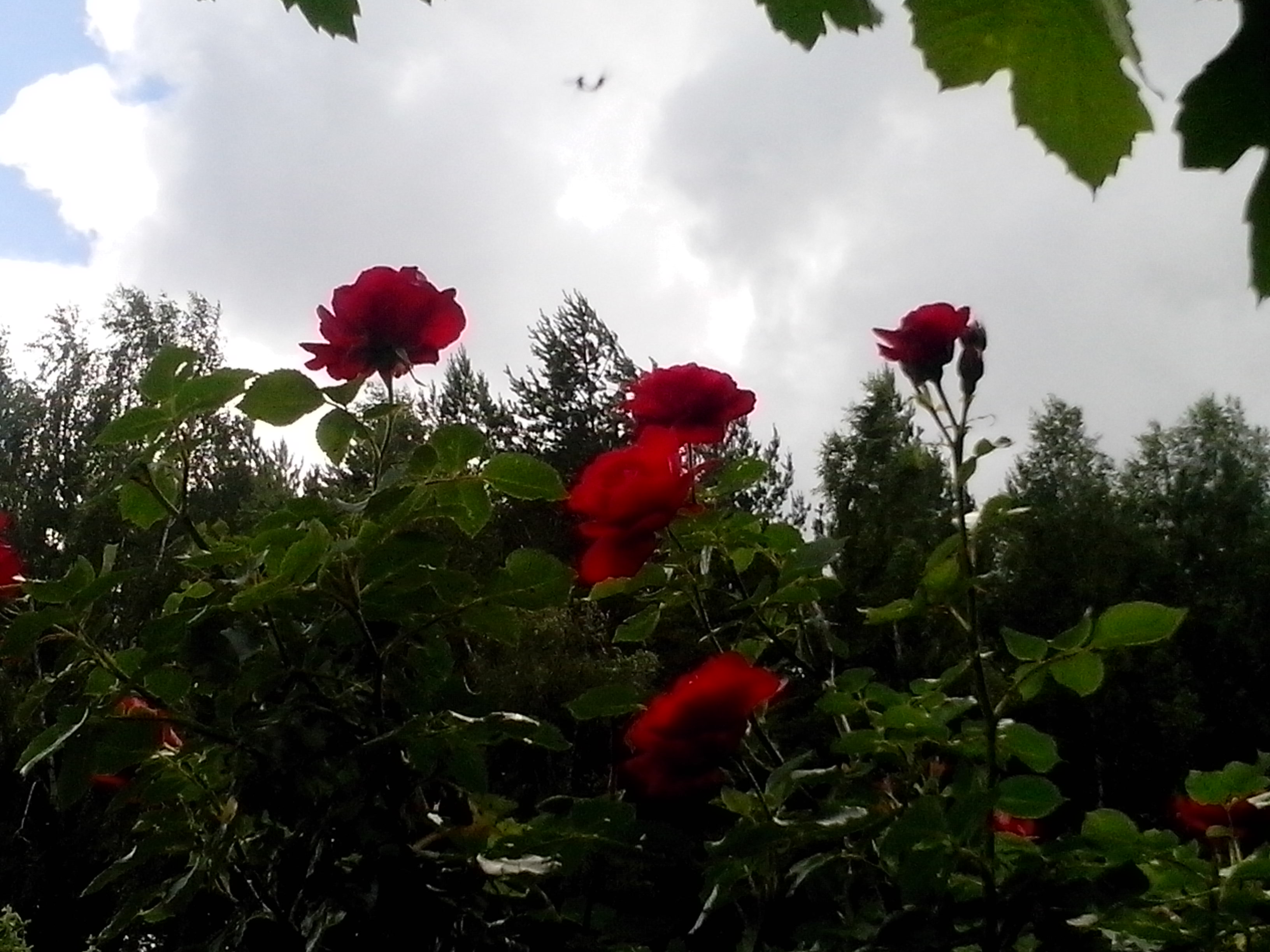 Вот новая аналитика